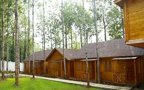 Garden Wood Yercaud